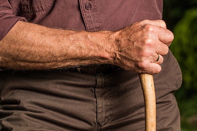 pensionado